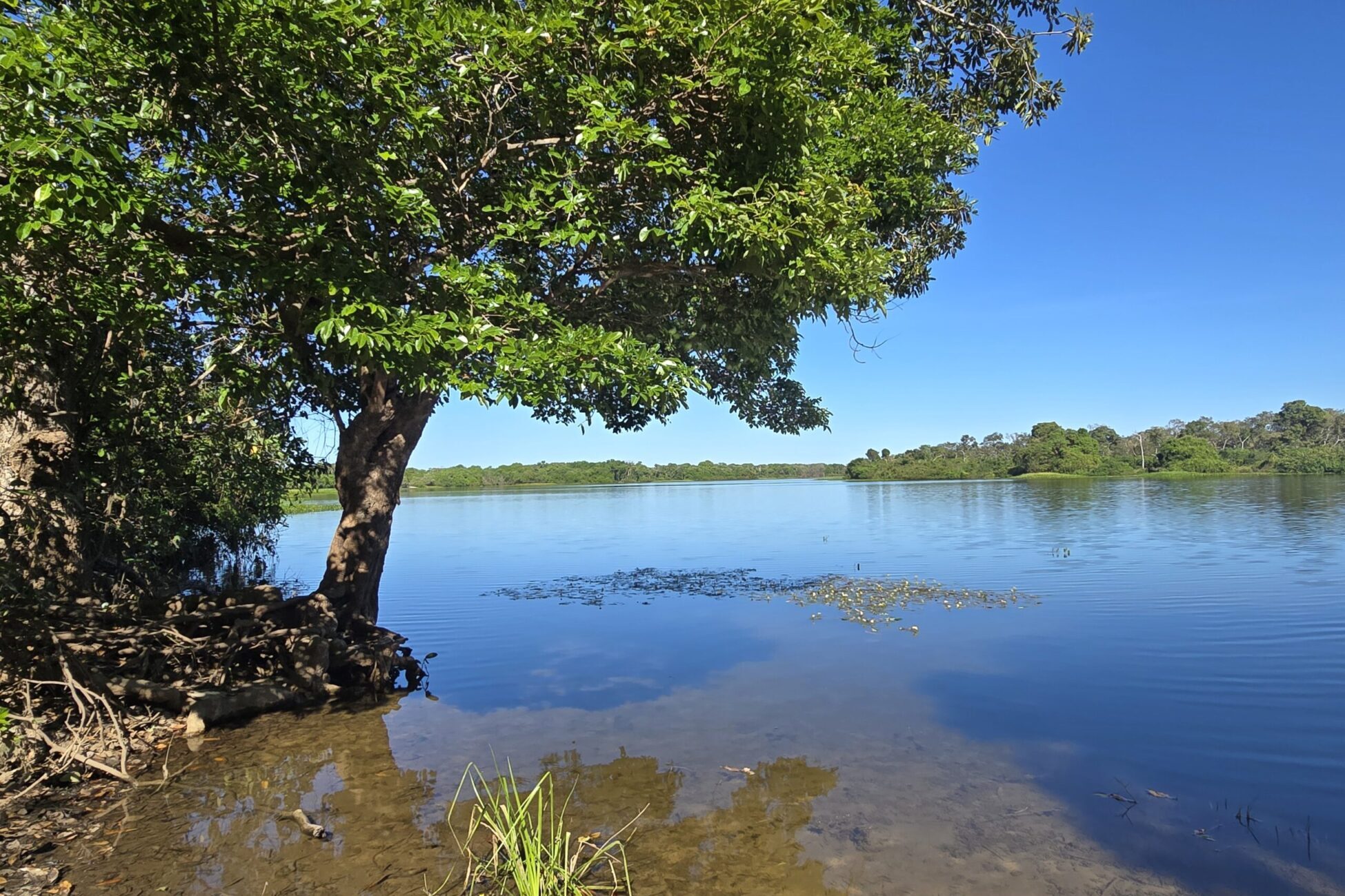 Uso Público <br> PE do Araguaia (MT)