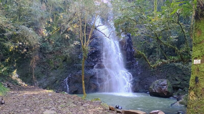 Gestão de Destinos <br> Ibicaré (SC)