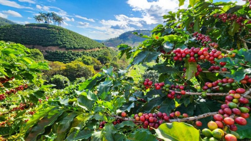 Experiências Turísticas <br> Vale do Rio Doce (MG)